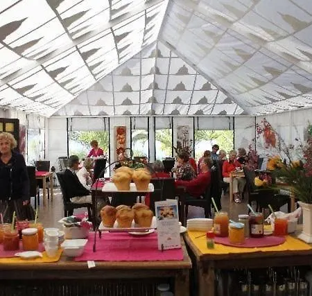 In Mit Grosser Terrasse 기아데이소라